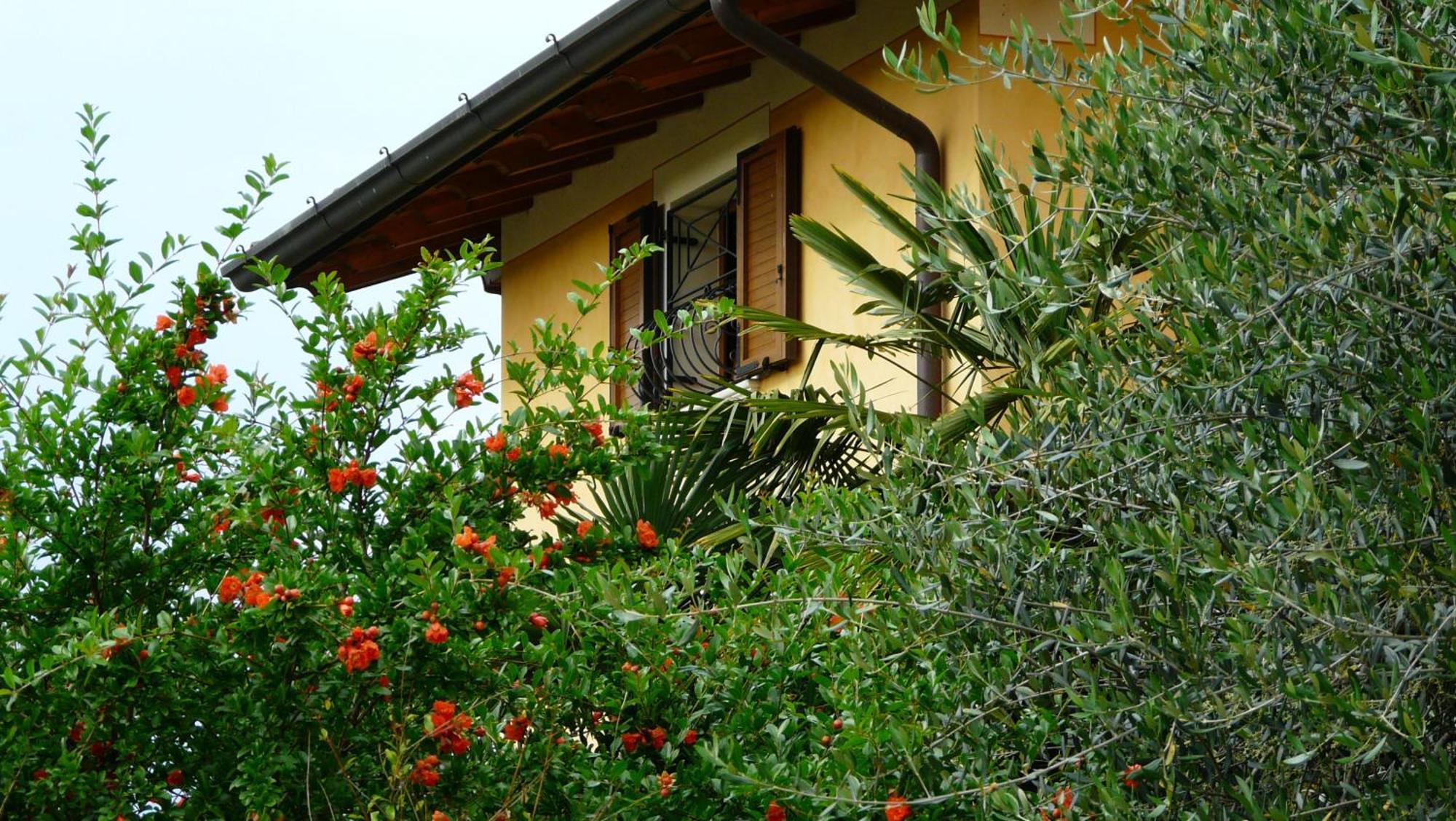 Albergo Le Piante مانربا ديل جاردا المظهر الخارجي الصورة